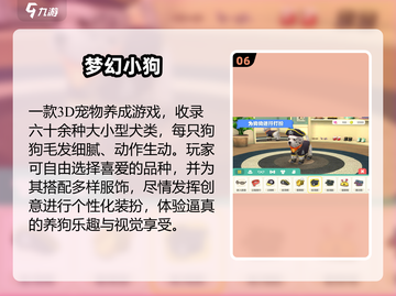 🐶2025狗狗最爱玩的10种游戏！🔥截图7