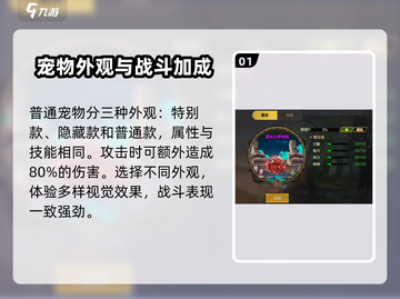 地下城与勇士手游🔥罗特斯宠物属性大揭秘！截图2