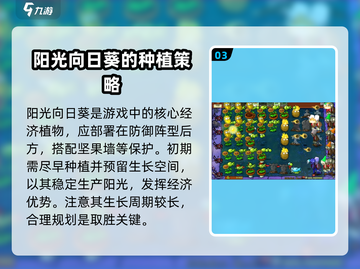 植物大战僵尸：阳光向日葵🔥杂交版了解一下！游戏技巧大公开💡截图4