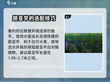 钓鱼星球白斑狗鱼配置🔥轻松上手必备攻略！截图2
