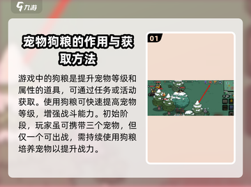 英勇之地🐶：揭秘狗粮真相，玩家必看！截图2