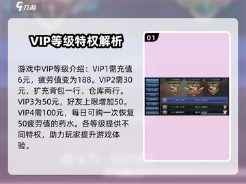 地下城与勇士手游)VIP权益大曝光！💥超值价格表来了截图2