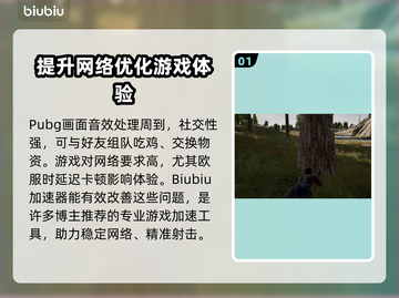 PUBG欧服加速器🚀下载，吃鸡党必看！截图2