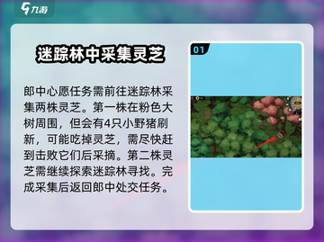 大侠立志传🔥迷踪林灵芝位置全解密！💡截图2