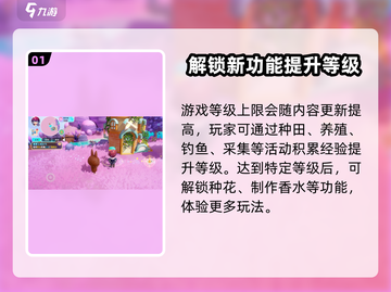 梦想家园🔥升级秘籍！快速冲级不是梦🎮截图2