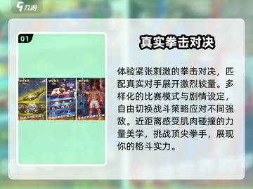 🔥2025最燃双人拳击手游💥截图2