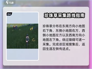 鸣潮🔥珍珠草速刷攻略💎玩家必看！截图5