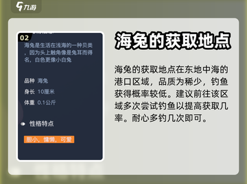 黎明之海🔥白海兔获取攻略hare截图3