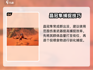 《创造吧！晶冠隼抓捕全攻略🎮》截图5