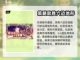 为了吾王🔥联机方法大公开！💎轻松上手截图4