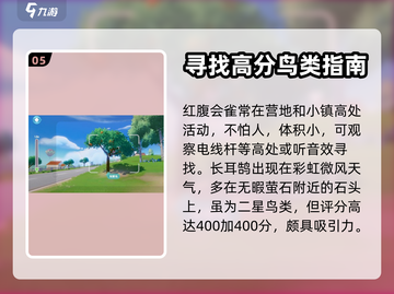 心动小镇🔥必看！鸟类分布位置大揭秘🎉截图6