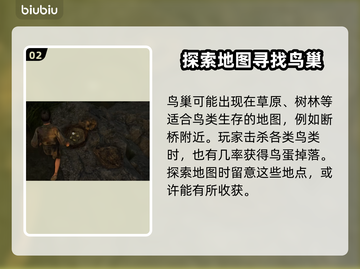 战国王朝：快速获取鸟蛋的方式🔥🥚截图3
