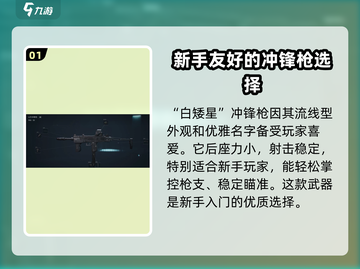 三角洲行动🔥全枪械大揭秘，玩家必看！截图2