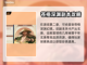 山门与幻境🔥千年玄珠获取秘籍💎截图2