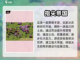 🔥超好玩的单机战略游戏推荐🎉截图4