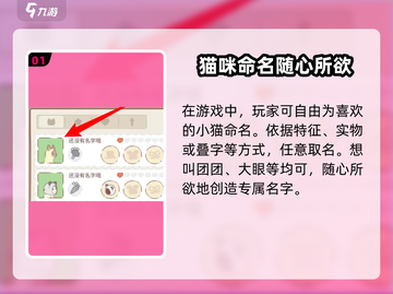 猫咪和汤游戏🔥给猫取名绝招在这里！🐾截图2
