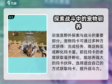 荒野起源🔥求生技能大揭秘！生存必备💎截图4