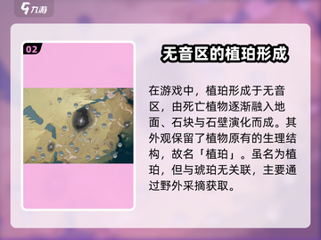 鸣潮🔥植珀用途大全+高效采集路线分享！💎截图3