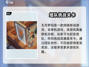 无尽梦回🎮竟是单机？揭秘游戏类型🔥截图2