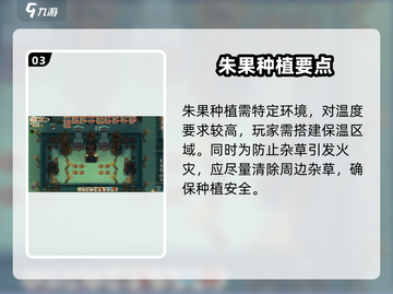 《了不起的修仙模拟器》朱果种植攻略🔥速成！✨截图4