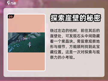 鸣潮⚡紫晶块采集路线大公开！玩家必看🔥截图10
