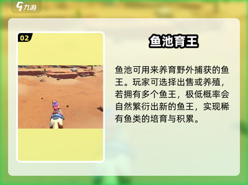 《沙石镇时光》鱼池竟藏㊙！🐟截图3