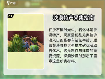 沙石镇时光💡石化木位置大曝光！采集攻略速看！截图2