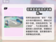 宝可梦大集结：铝钢龙🔥超强玩法揭秘！截图3