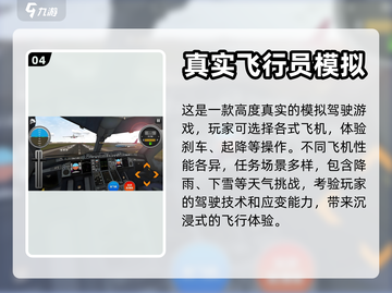 ✈2024超真实飞机模拟驾驶游戏推荐大全截图5