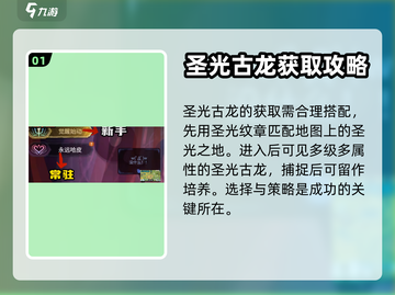 超进化物语2🔥神光古龙获取方法大全截图2