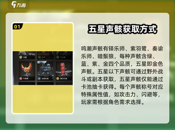 鸣潮⭐五星声骸全解析！新手必看🔥截图2