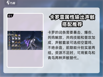 鸣潮⚡卡卡罗武器声骸最佳选择攻略来了！截图2