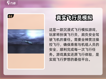 🎮2025超火模拟客机手游TOP榜！✈截图3