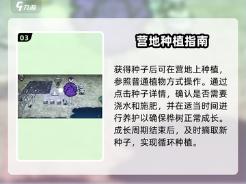 饥荒新家园🔥营地种桦树居然这么强！新手必看💡截图4