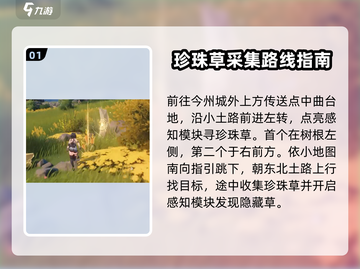 鸣潮🔥珍珠草速刷攻略💎玩家必看！截图2