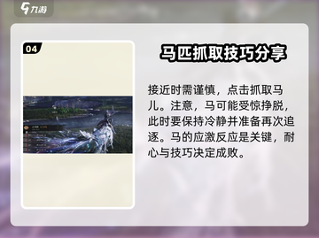 燕云十六声🔥马匹抓捕超全攻略🎉截图5