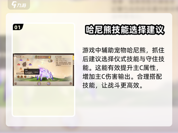 西普大陆手游🔥王晶蛛超详细介绍来啦！✨截图2