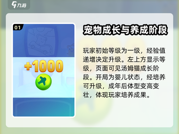 我的汤姆猫2💡快速获取经验值秘籍🎉截图2