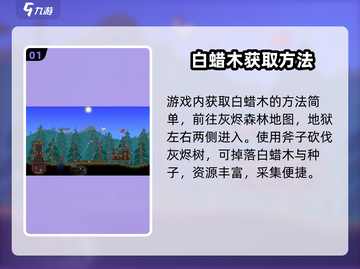 泰拉瑞亚💎白蜡木获取秘籍，轻松搞定！截图2