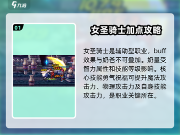 DNF手游：女圣骑士🔥超强评价，不容错过！截图2