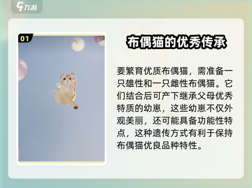 超喵星计划🔥布偶猫配对秘籍，快速养成终极攻略！截图2