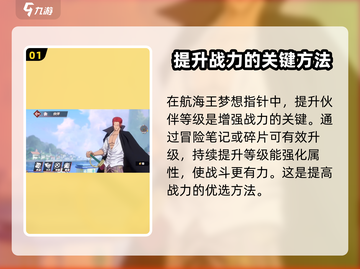 航海王梦想指针🔥战力飙升秘籍🎉截图2