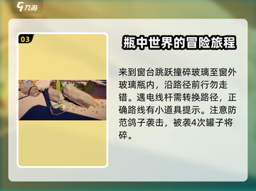 我是小鱼儿🔥食人鱼关卡玩法分享💡截图4