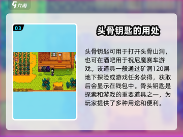 星露谷物语💥骨头钥匙竟有这作用，玩家直呼内行！截图4