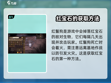 饥荒新家园💎红宝石获取途径大揭秘！玩家必看🔥截图2