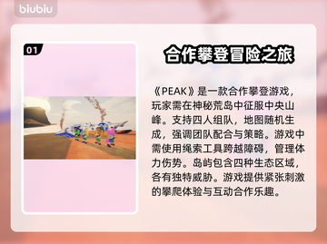 Peak下载慢？这款加速器让你畅玩🔥游戏不卡顿！🎮截图2