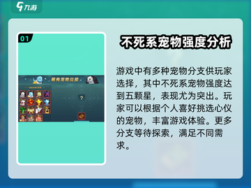 魔力宝贝复兴版🔥骷髅海盗超强详细介绍！截图2