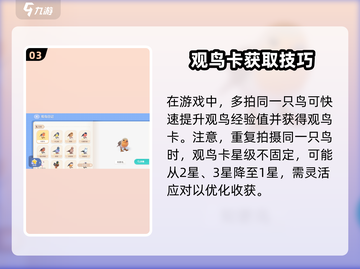 心动小镇🔥观鸟卡超全作用攻略💡截图4
