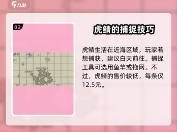 渔帆暗涌手游：虎鲭位置大揭秘🔥🎉截图3
