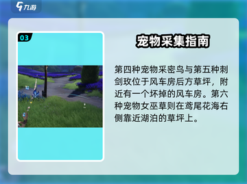 伊莫手游鸢尾花海宠物大揭秘！🐾🎮截图4